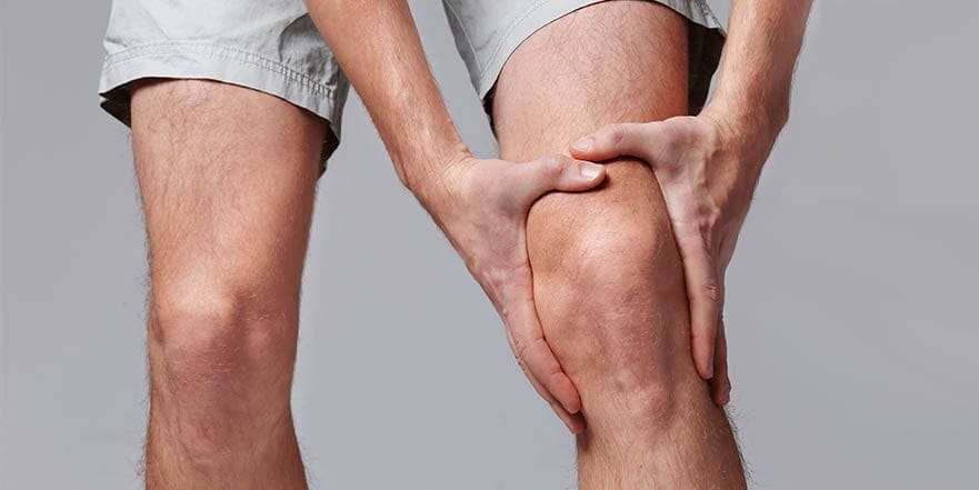 Sâm Cau Có Tác Dụng Gì? 5+ Tác Dụng Của Sâm Cau Trong Sức Khoẻ 10 sam-cau-co-tac-dung-gi