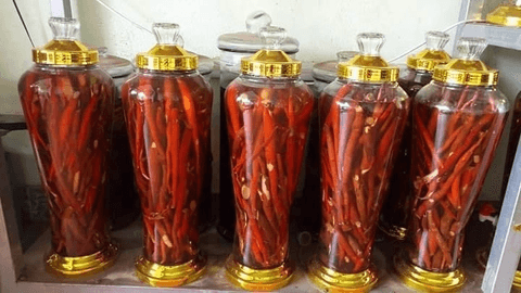 Sâm Cau Có Tác Dụng Gì? 5+ Tác Dụng Của Sâm Cau Trong Sức Khoẻ 12 sam-cau-co-tac-dung-gi