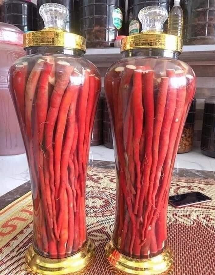 cach-ngam-ruou-sam-cau