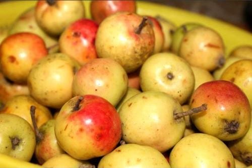 Cách Ngâm Rượu Táo Mèo Ngon, Công Thức Chuẩn Tại Nhà 5 cach-ngam-ruou-tao-meo