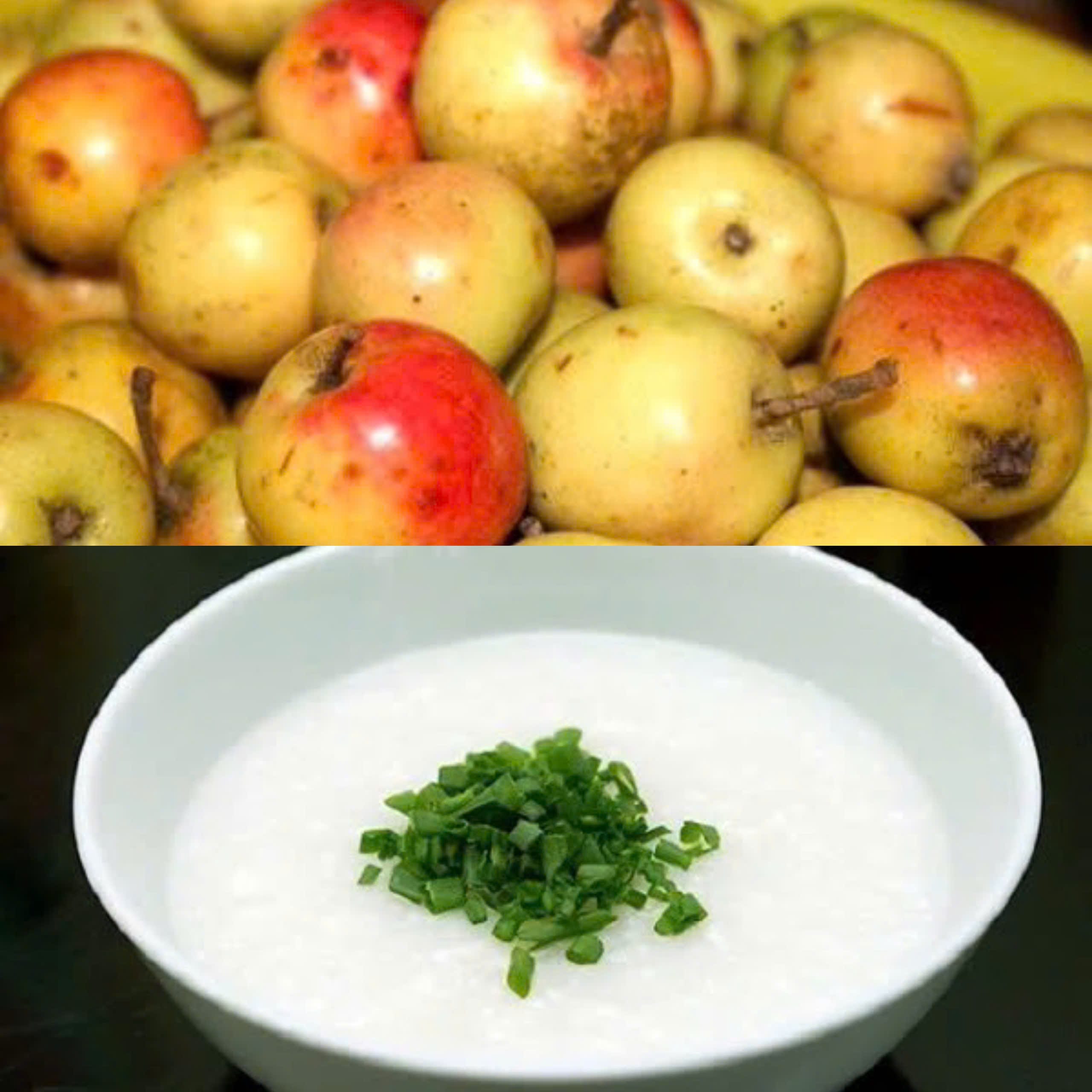 tao-meo-co-tac-dung-gi