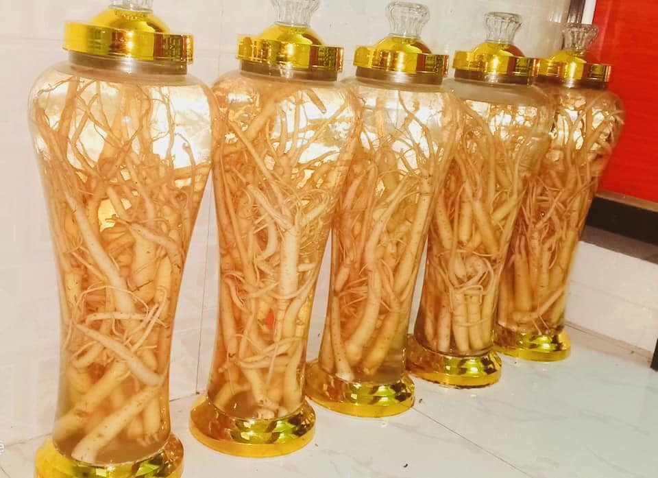 Cách Sử Dụng Cao Đẳng Sâm - Hướng Dẫn Chi Tiết Để Tối Ưu Hiệu Quả 8 cach-su-dung-cao-dang-sam