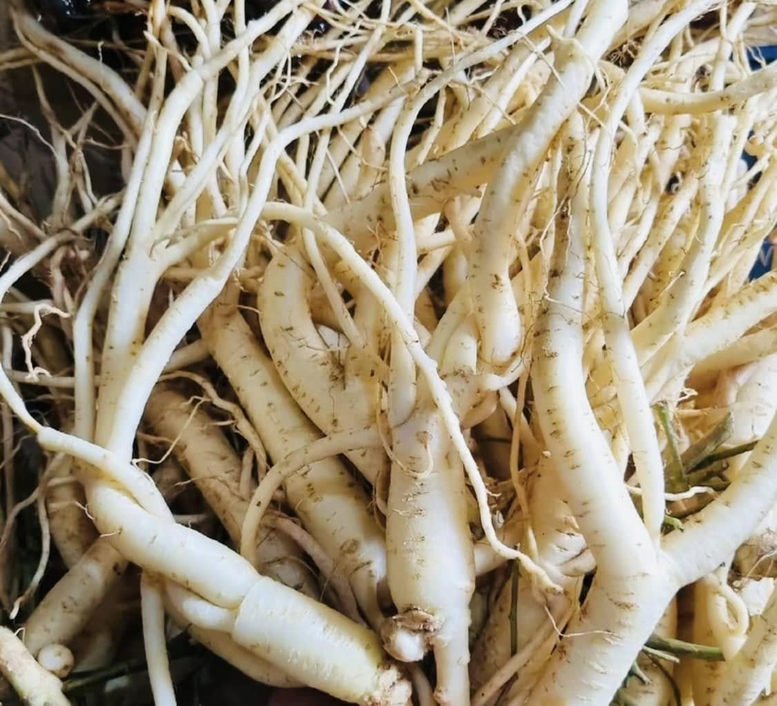 Cách Sử Dụng Cao Đẳng Sâm - Hướng Dẫn Chi Tiết Để Tối Ưu Hiệu Quả 9 cach-su-dung-cao-dang-sam