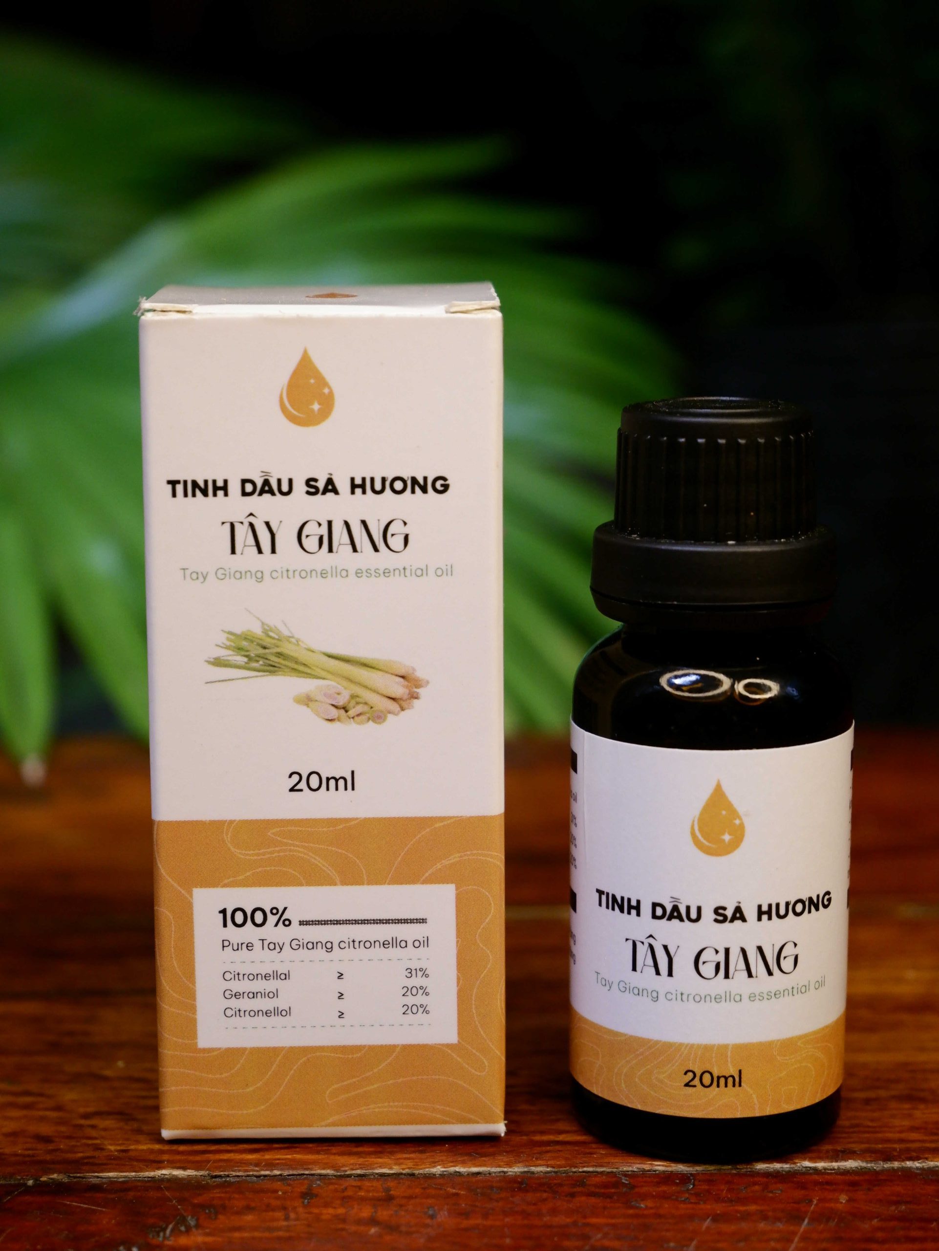 mo-hinh-trong-sa-lay-tinh-dau-tai-Tay-Giang-Quang-Nam