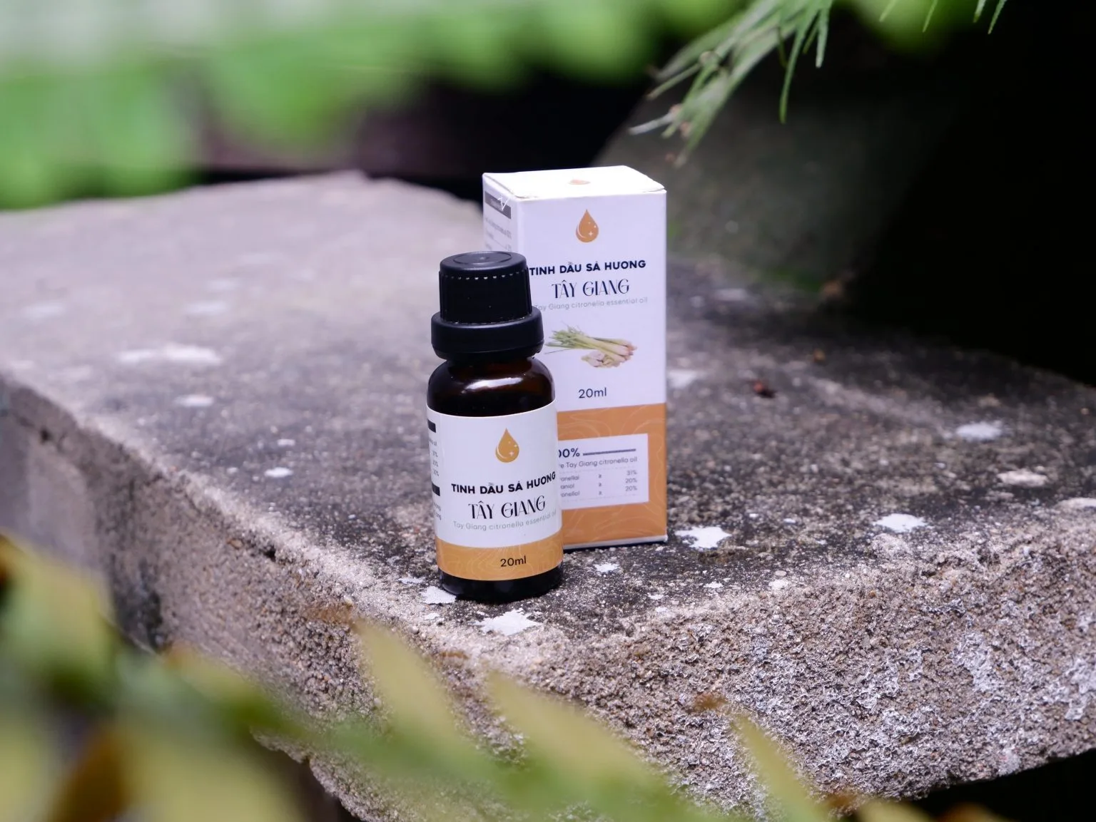 Mua tinh dầu sả ở Đắk Nông – Lựa chọn hoàn hảo cho sức khỏe và không gian sống 14 Mua-tinh-dau-sa-o-Dak-nong