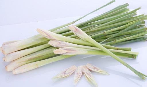 Mua-tinh-dau-sa-o-gia-lai