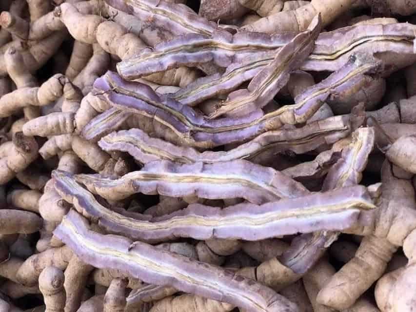 Cao Ba Kích: Sử dụng sao để không gây hại? 9 cao-ba-kich