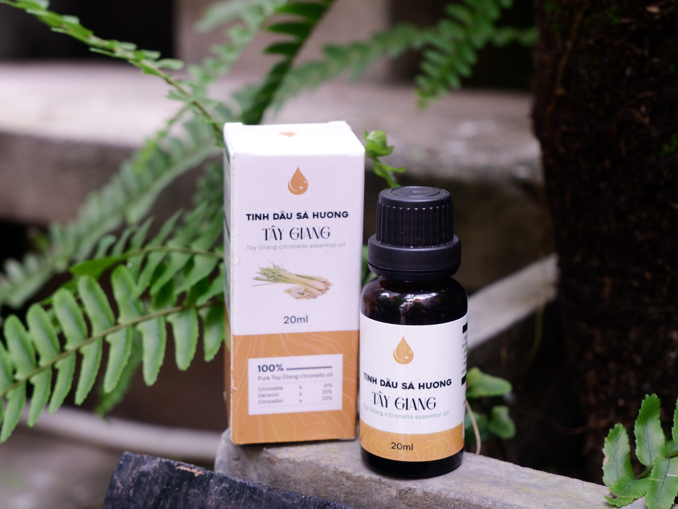 mua-tinh-dau-sa-o-dak-lak
