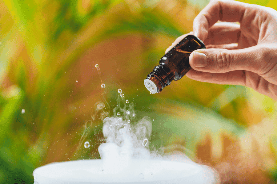 Mua tinh dầu sả ở Quảng Bình – Tổ ấm thông thoáng, ngại gì mùa mưa 17 mua-tinh-dau-sa-o-quang-binh