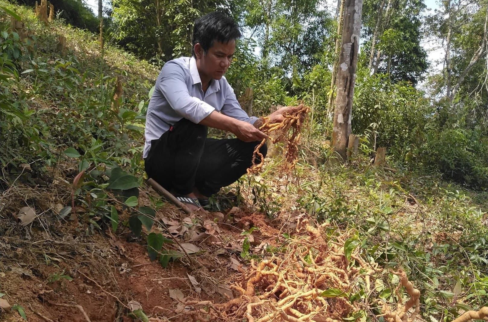 cong-dung-cua-ba-kich