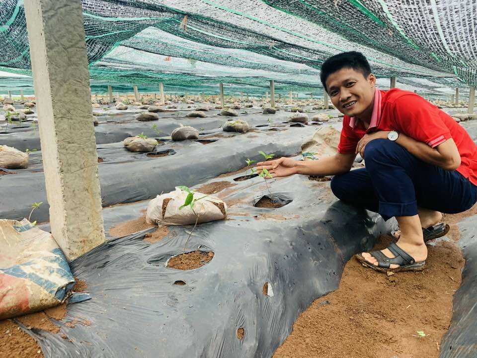 Câu chuyện Ba Kích tím Tây Giang và người giữ hồn dược liệu! 14 ba-kich-tay-giang