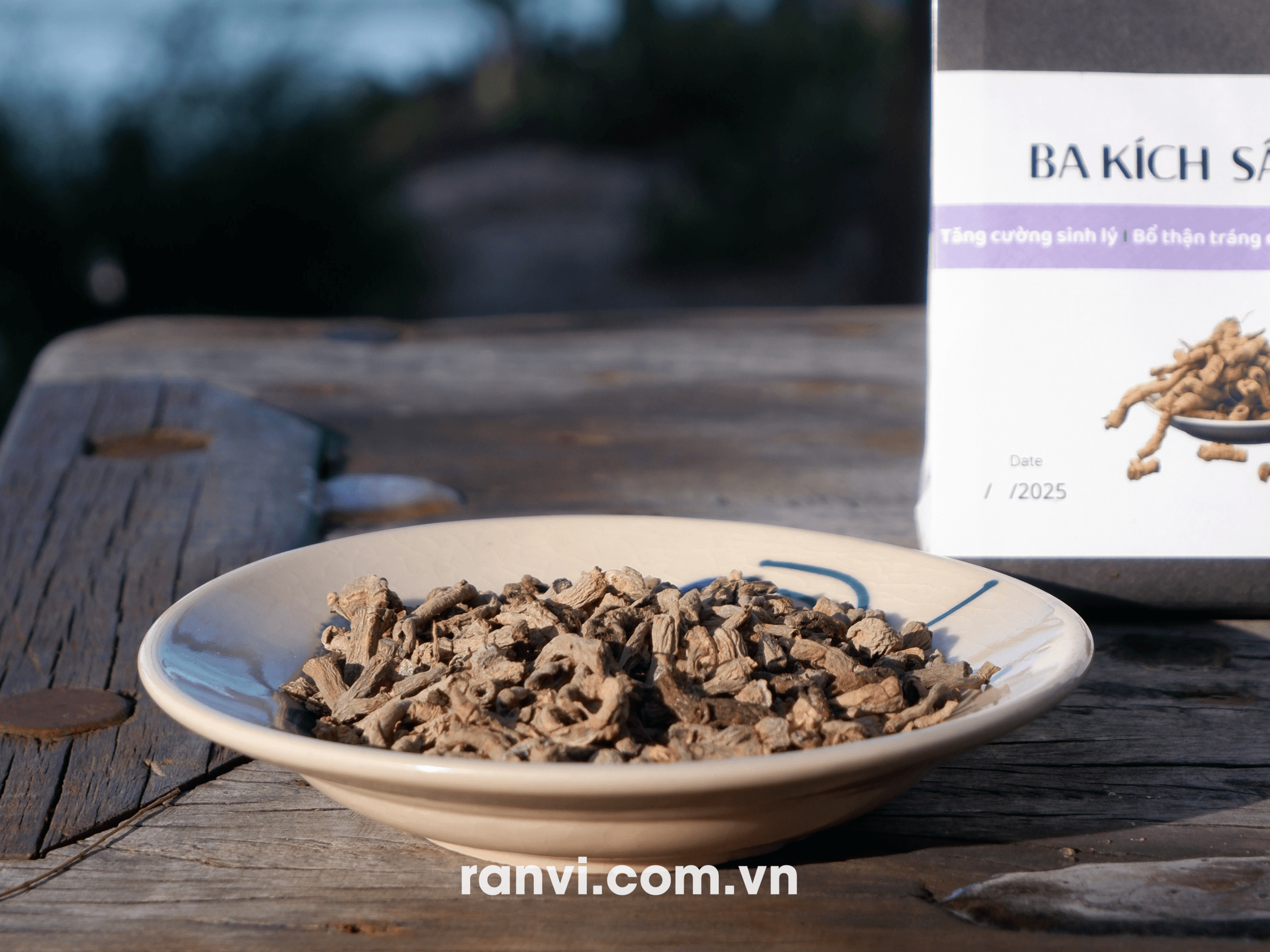 Cây Giống Ba Kích Tím tại Bình Phước - Alo Ranvi có hàng ngay! 9 Cây Giống Ba Kích Tím ở Bình Phước