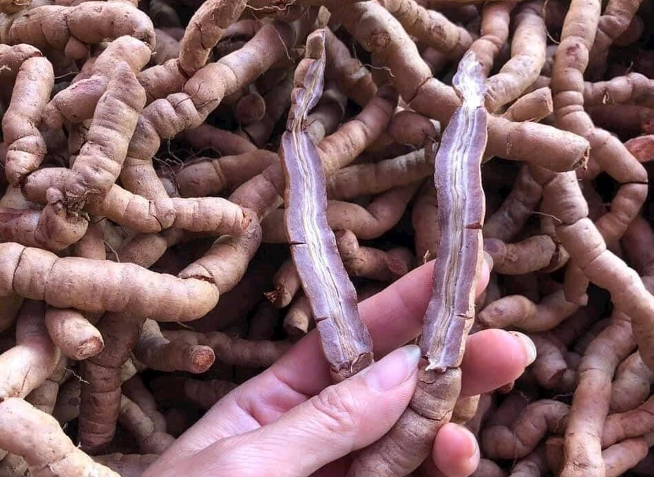 Ngâm Rượu Ba Kích Với Gì?