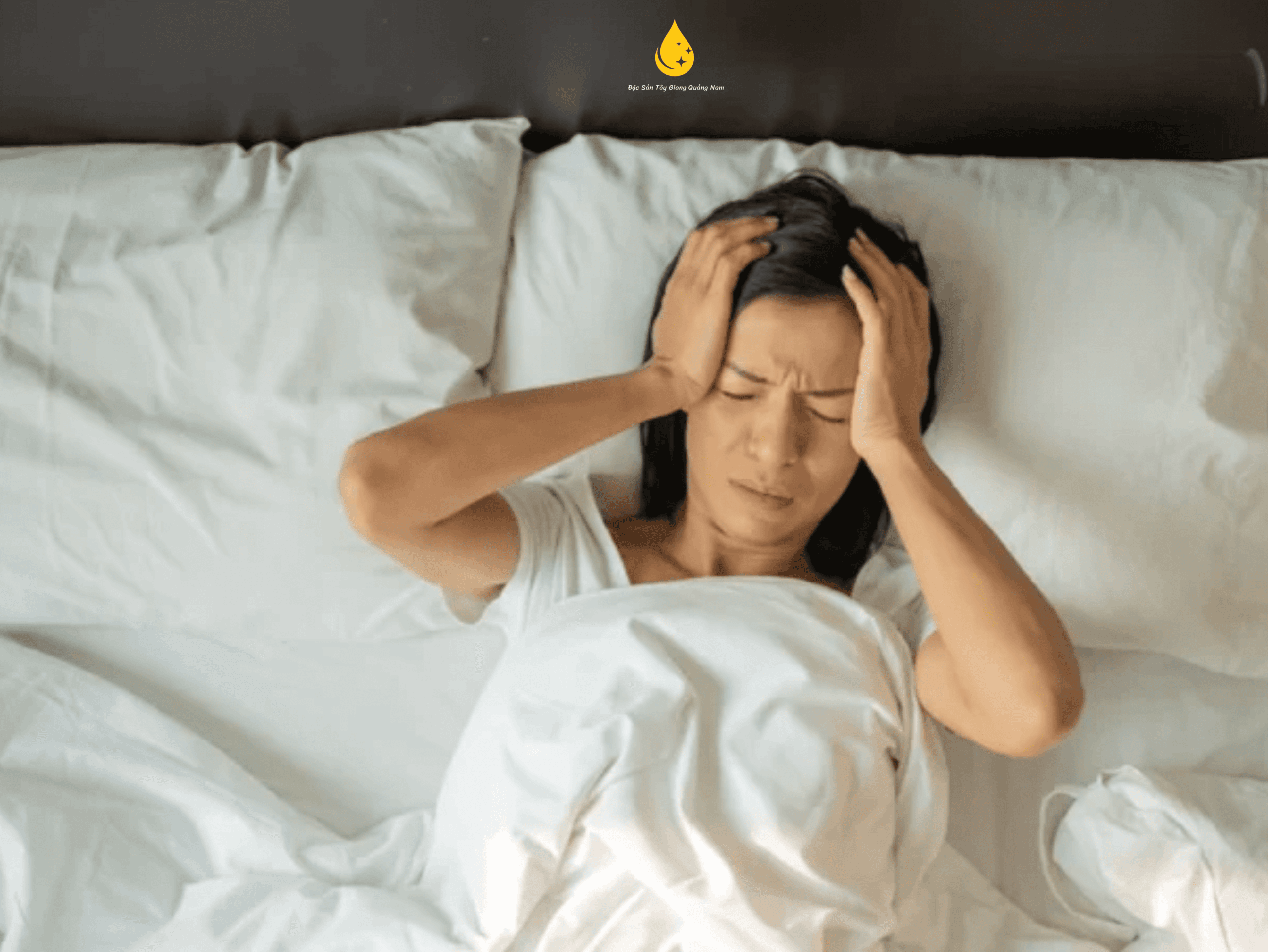 Chè Dây Quảng Bình Giúp Ngủ Ngon