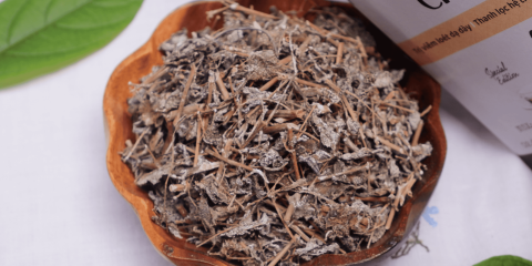 Chè dây khô