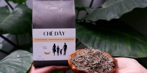 cách chọn chè dây khô ngon