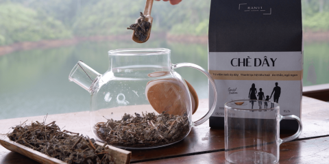 Chè dây Nghệ An chính hãng